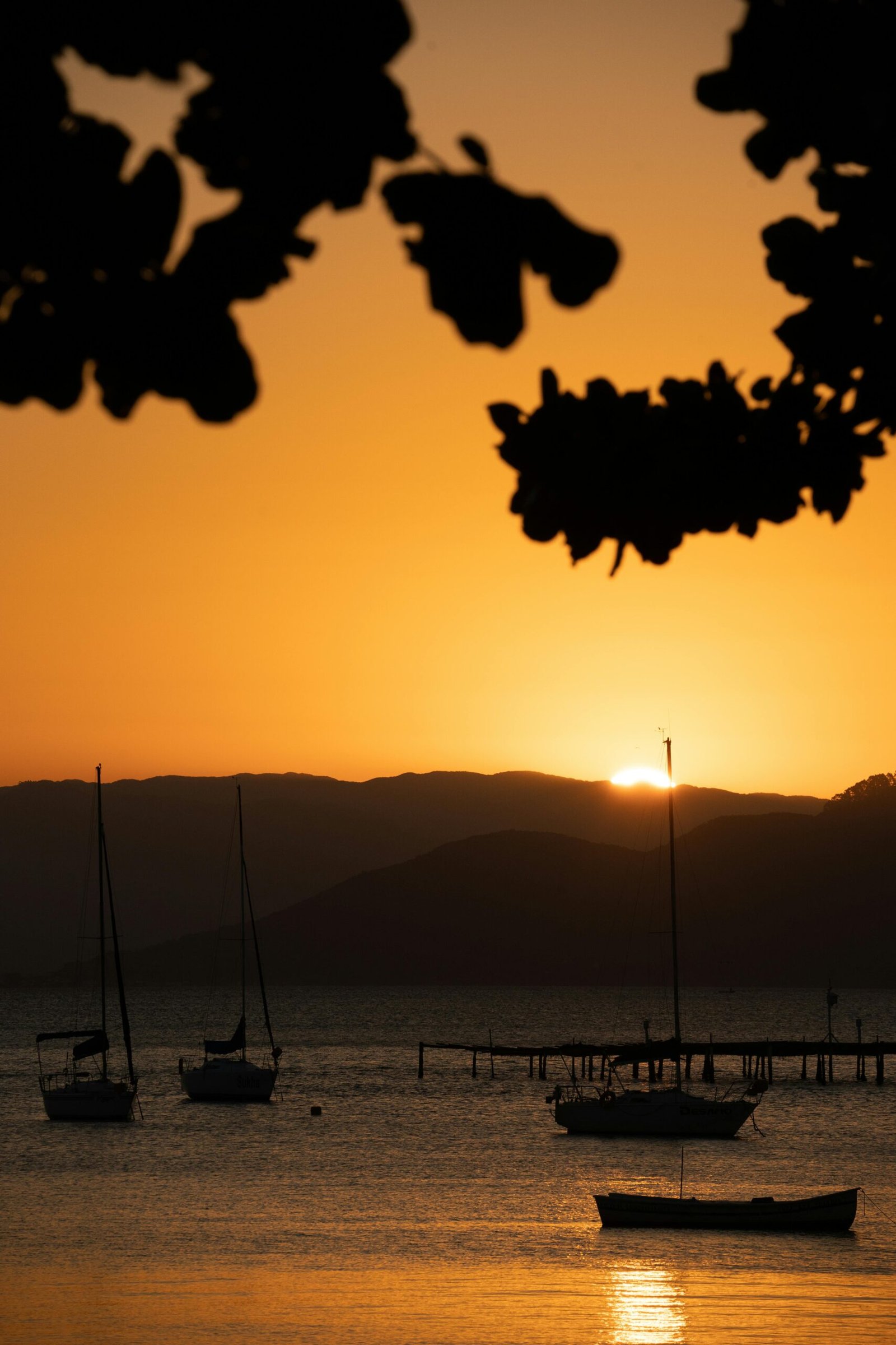 Shopify创建服装店铺（附免费课程链接）-95dollar